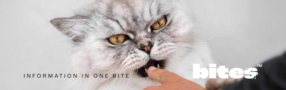 A cat biting a human finger a the text Information in one Bite