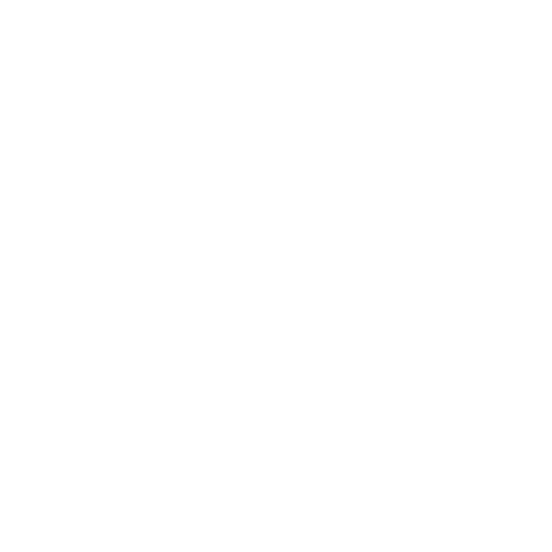 Microsoft logo white